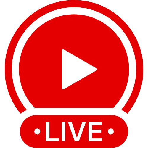 Anales En Vivo | Live Webcam Shows & Interactive Adult Entertainment